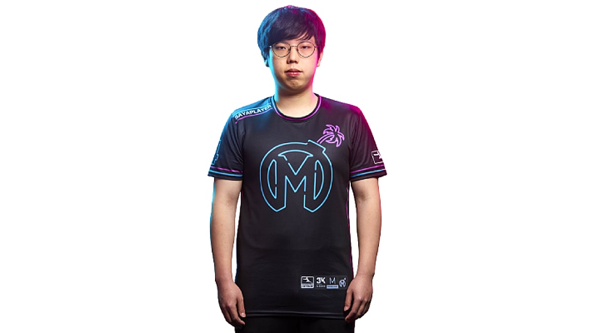 Sayaplayer